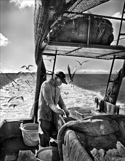 Shrimper at Sea