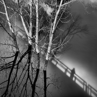 Portrait of my shadow Portrait of my shadow