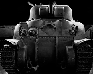 Canadian Grizzly Bear Tank Canadian Grizzly Bear Tank