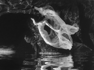 Marissa Veiled, 2017 Marissa Veiled, 2017