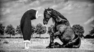 The Sitting Horse The Sitting Horse