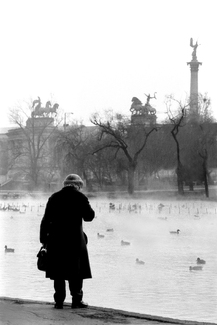Looking for Heroes Looking for Heroes