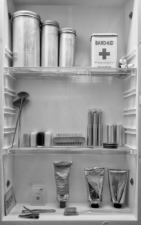 Medicine Cabinet, Oregon