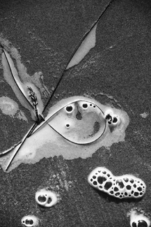 Keep Smiling, Pismo, Ca. Keep Smiling, Pismo, Ca.