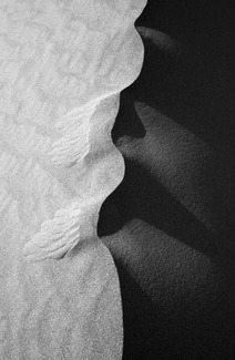 Dune Line, Death Valley, Ca. Dune Line, Death Valley, Ca.