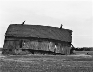 Run Erwin Run Run Erwin Run