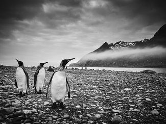 Don't Look Now Don't Look Now