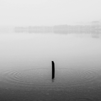 Concentric Circles Concentric Circles