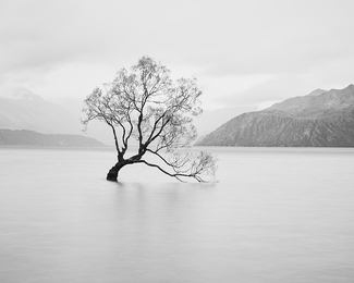 Mystical Lake Mystical Lake