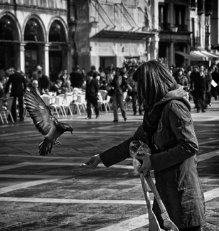 Poetry in Motion Poetry in Motion