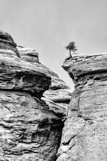 On The Edge On The Edge