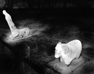 Playground #5 Playground #5