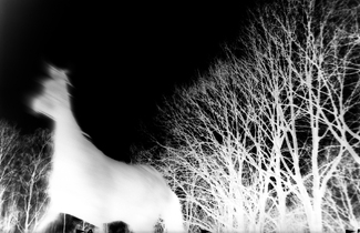 It's a deer, is it? It's a deer, is it?