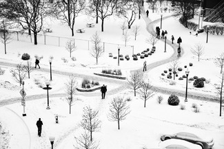 Bruegel's winter in Minnesota Bruegel's winter in Minnesota