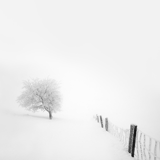 A Winter's Tale I A Winter's Tale I