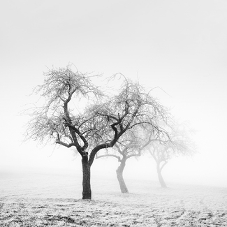 Those Foggy Days Those Foggy Days
