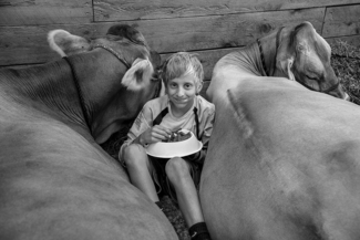 Boy with Cows