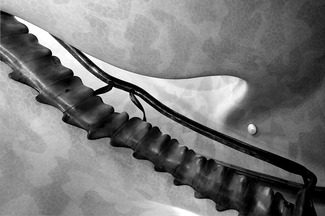 CASA BATLLO 15 CASA BATLLO 15