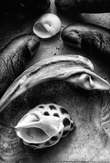 An Offereing: Meditation An Offereing: Meditation