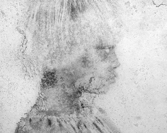 Untitled (Ruined Mugshot) Untitled (Ruined Mugshot)