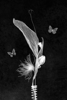 Collection Number Three Collection Number Three