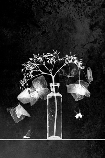 Collection Number Two Collection Number Two