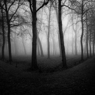 fog in the city fog in the city