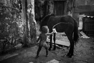 Action Painting Action Painting