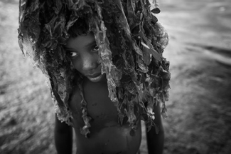 Seaweed Hair Seaweed Hair