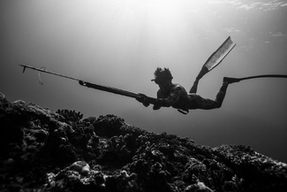 Deep Spear Silhouette Deep Spear Silhouette