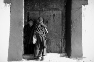 Little Monks Little Monks