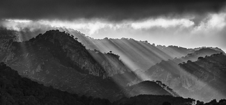 Divine Lights Divine Lights