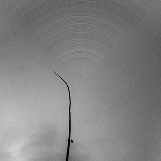 End of the week End of the week