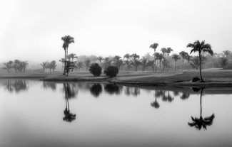 Hazy Morning Hazy Morning