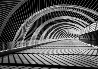 Learning Curve Learning Curve