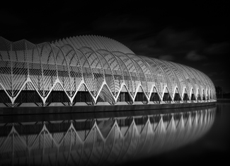 Showing some Teeth Showing some Teeth