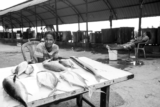 The Fishwife The Fishwife