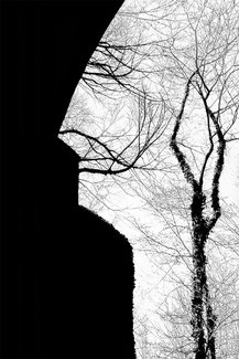 Surrealistic Portrait of Salvador Dali Surrealistic Portrait of Salvador Dali