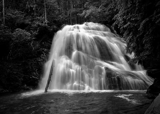 Snow Creek Study Snow Creek Study