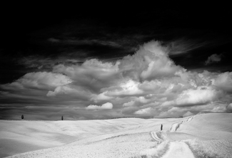 terre di toscana terre di toscana