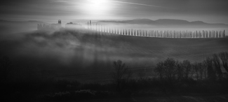 Misty Tuscany Misty Tuscany