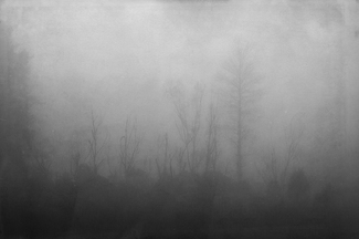 Turitea Fog Turitea Fog