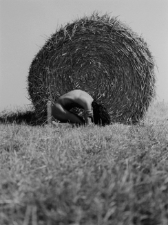 Straw 2 Elements of Life