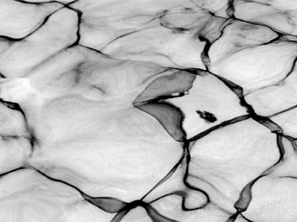 transcendent transcendent