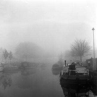 Foggy morning. Foggy morning.