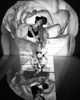 Flowermind Flowermind