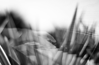 Sway in the Wind Sway in the Wind