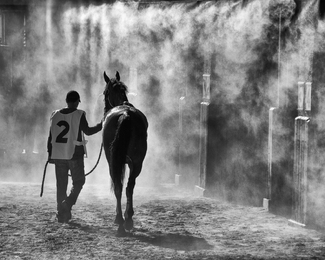 After The Race After The Race