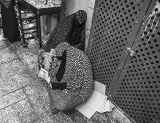 It is a Jungle Out There It is a Jungle Out There