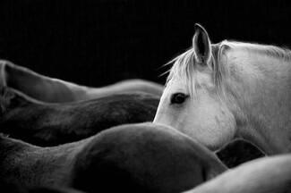 Just Her Eye Just Her Eye